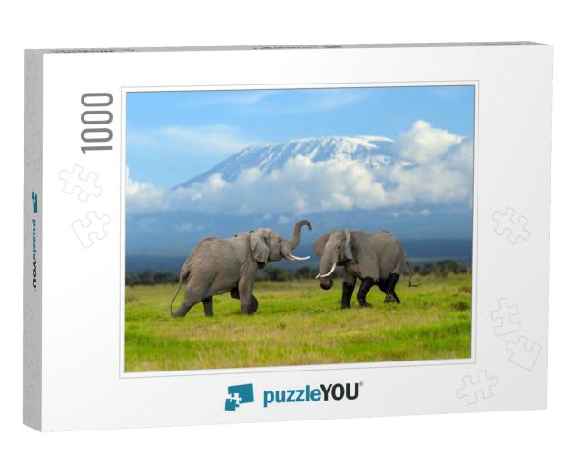 Large Adult Elephant with a Snow Covered Mount Kilimanjar... Jigsaw Puzzle with 1000 pieces