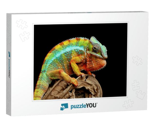 Beautiful of Chameleon Panther, Chameleon Panther on Bran... Jigsaw Puzzle