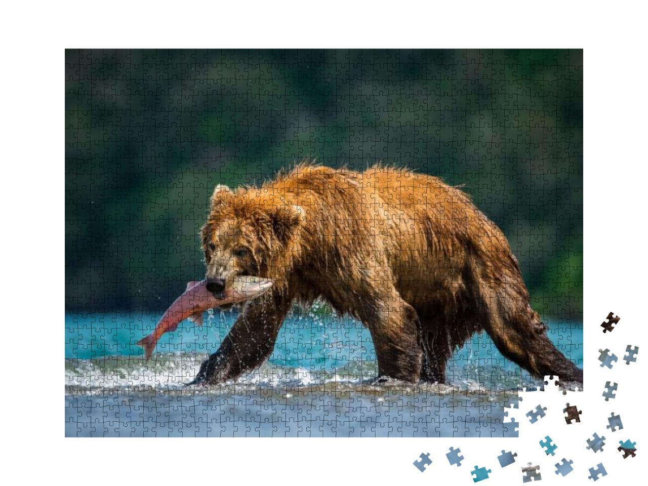 The Kamchatka Brown Bear, Ursus Arctos Beringianus Catche... Jigsaw Puzzle with 1000 pieces