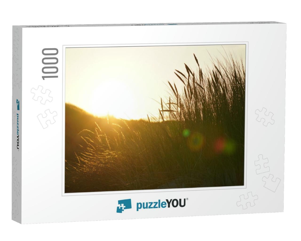 Sunset in the Dunes of Juist. High Quality Photo... Jigsaw Puzzle with 1000 pieces