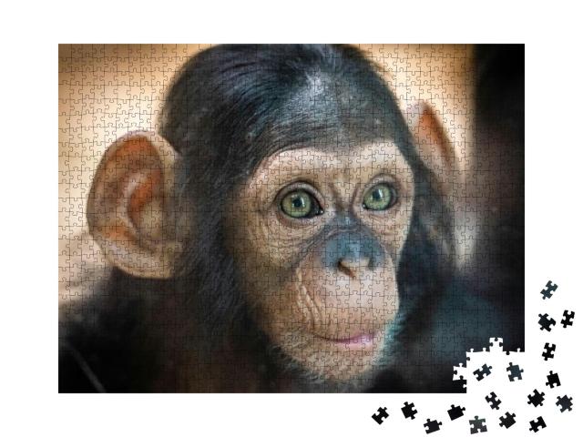 Portrait of a Baby Chimpanzee in Pilsen in Czech Republic... Jigsaw Puzzle with 1000 pieces