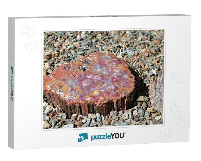 Petrified Wood Can be Found Scattered Across the Petrifie... Jigsaw Puzzle