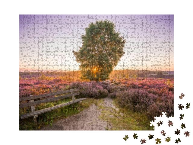 Colorful Sunrise Heather Landscape with Sun Rays Shining... Jigsaw Puzzle with 1000 pieces