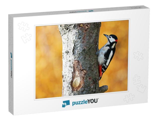 Great Spotted Woodpecker with Yellow Background... Jigsaw Puzzle