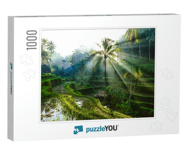 Bali Rice Terraces... Jigsaw Puzzle with 1000 pieces