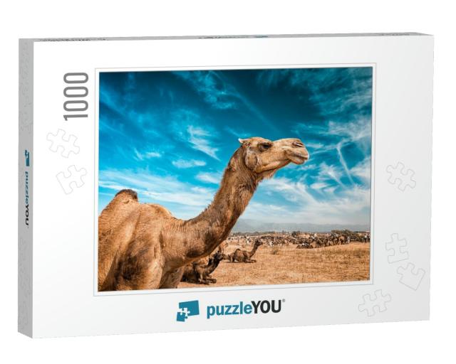 Camel At Pushkar Mela - Famous Annual Camel & Livestock F... Jigsaw Puzzle with 1000 pieces