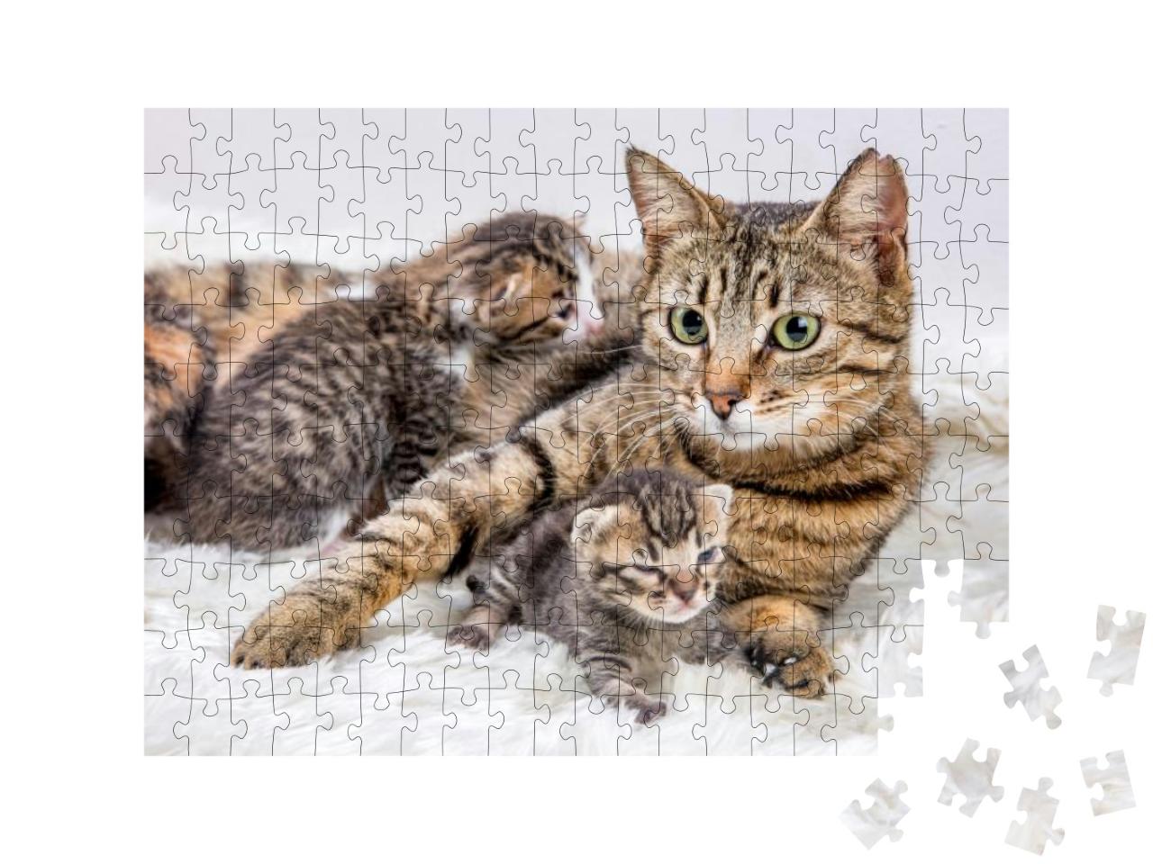 Mom Mother Cat & Baby Cat Kitten... Jigsaw Puzzle with 200 pieces