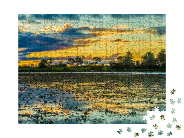 Colorful Sunset in Pantanal, Brazil... Jigsaw Puzzle with 1000 pieces