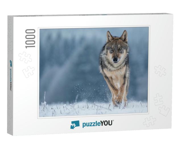 Wolf Runnin in Snow... Jigsaw Puzzle with 1000 pieces