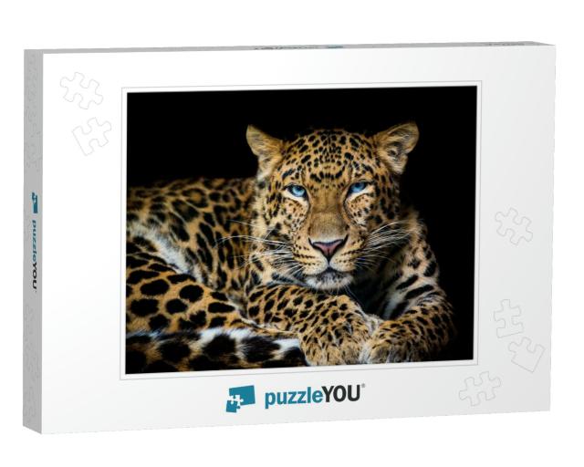 North China Leopard Panthera Pardus Japonensis Black Back... Jigsaw Puzzle