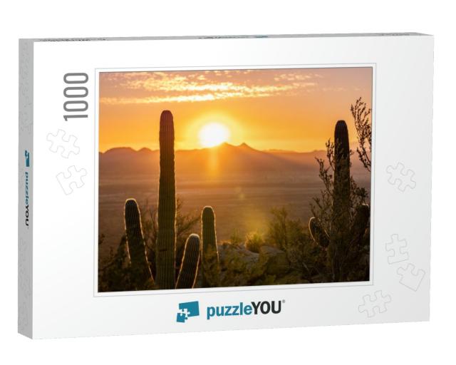 Sunset At Saguaro National Park West... Jigsaw Puzzle with 1000 pieces