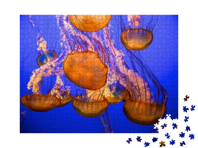 Blue Jellies... Jigsaw Puzzle with 1000 pieces