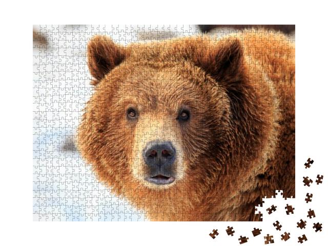 Grizzly Bear Standing in Snow Looking Directly At Camera... Jigsaw Puzzle with 1000 pieces