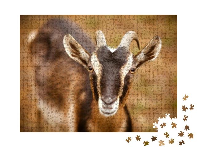 Goat. Portrait of a Goat on a Farm in the Village. Beauti... Jigsaw Puzzle with 1000 pieces