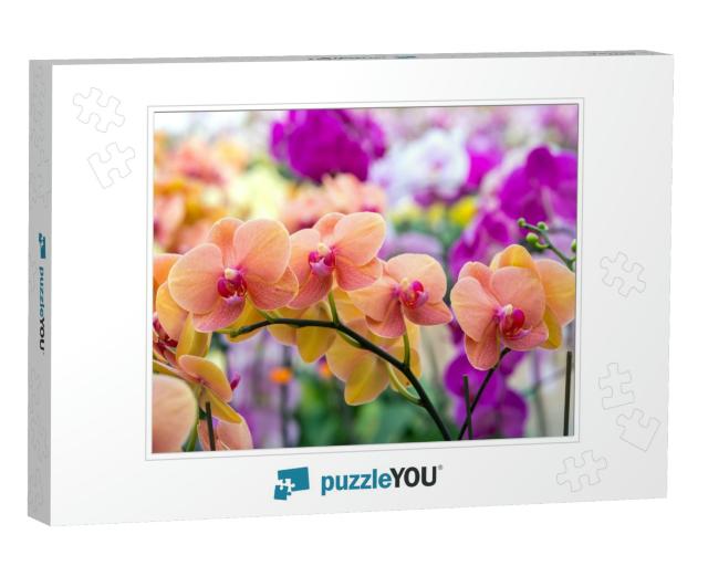 Phalaenopsis Orchids Flowers Bloom in Spring Adorn the Be... Jigsaw Puzzle
