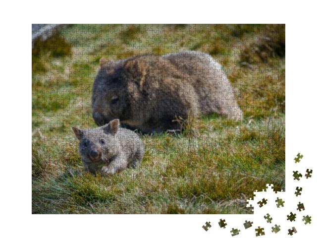 Joey Wombat Running from Its Mother in Cradle Mountain, T... Jigsaw Puzzle with 1000 pieces
