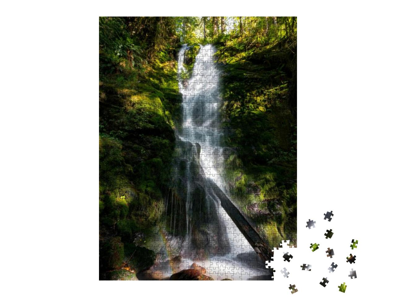 Merriman Falls At Olympic National Park, Washington State... Jigsaw Puzzle with 1000 pieces