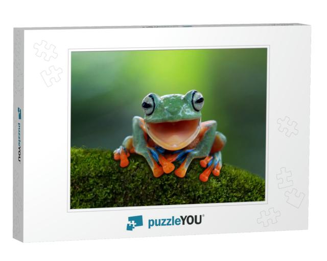 Tree Frog, Flying Frog Laughing, Animal Closeup... Jigsaw Puzzle