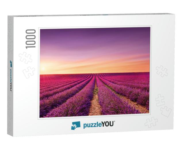 Lavender Flowers Blooming Fields At Sunset. Valensole, Pr... Jigsaw Puzzle with 1000 pieces