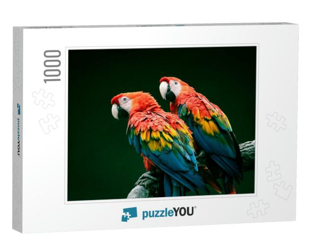 Pair of Big Parrot Red Macaw Sitting on the Branch. Ara C... Jigsaw Puzzle with 1000 pieces