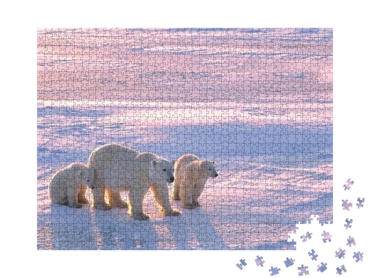 Polar Bear with Cubs in Canadian Arctic... Jigsaw Puzzle with 1000 pieces