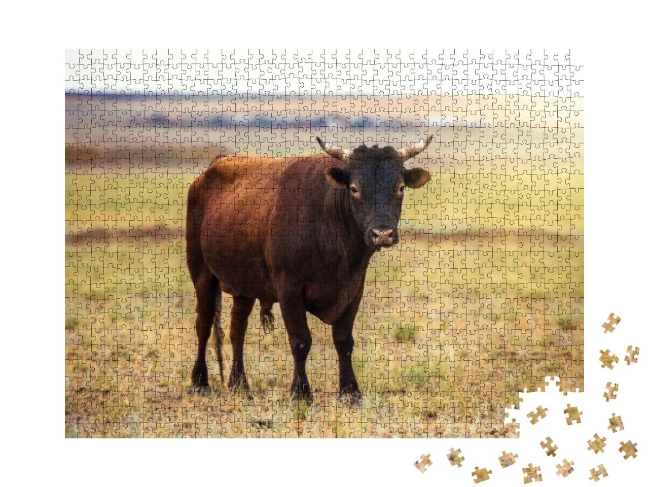 Portrait of a Large Beautiful Bull, Brown in Color, Stand... Jigsaw Puzzle with 1000 pieces
