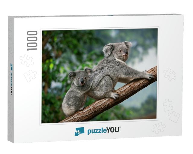Koala, Phascolarctos Cinereus, Female Carrying Young on I... Jigsaw Puzzle with 1000 pieces