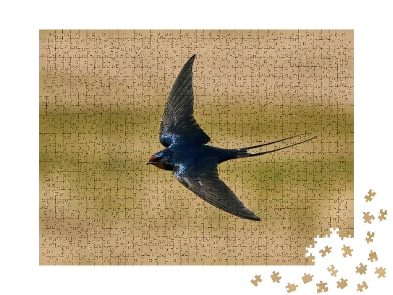Barn Swallow Hirundo Rustica in Flight with Vegetation in... Jigsaw Puzzle with 1000 pieces