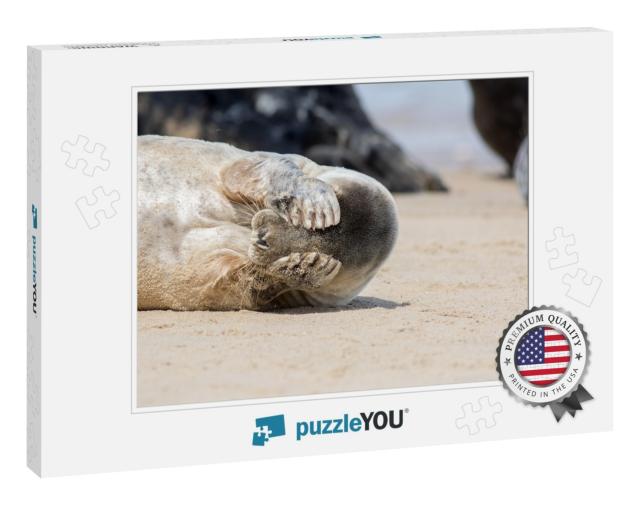 Peekaboo. Cute Seal Covering Its Eyes. Funny Animal Meme... Jigsaw Puzzle