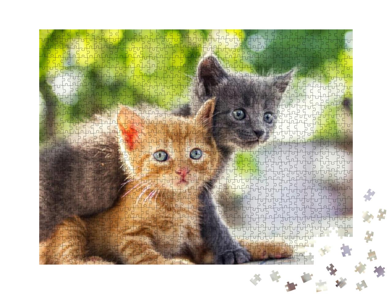 Two Adorable Kittens Playing Together. Kittens Outdoor... Jigsaw Puzzle with 1000 pieces