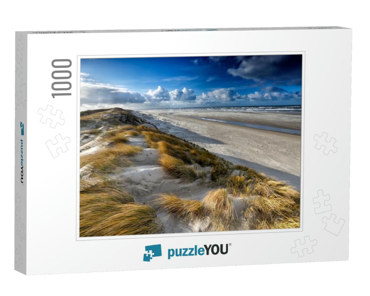 View from Sand Dune on North Sea Coast, Texel, Netherland... Jigsaw Puzzle with 1000 pieces