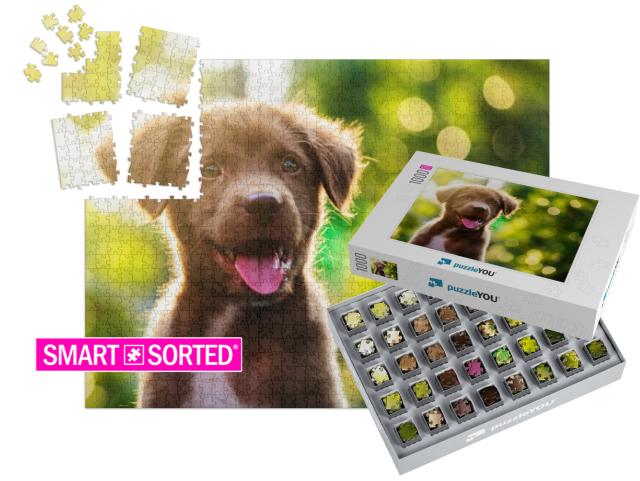 Cute Brown Smile Happy Labrador Retriever Puppy Against F... | SMART SORTED® | Jigsaw Puzzle with 1000 pieces