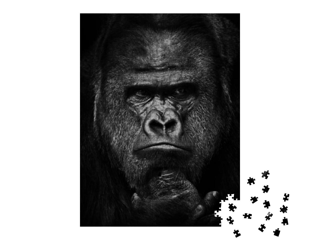 Heavy Gaze of Strong Dominant Male Gorilla, Face Close Up... Jigsaw Puzzle with 1000 pieces