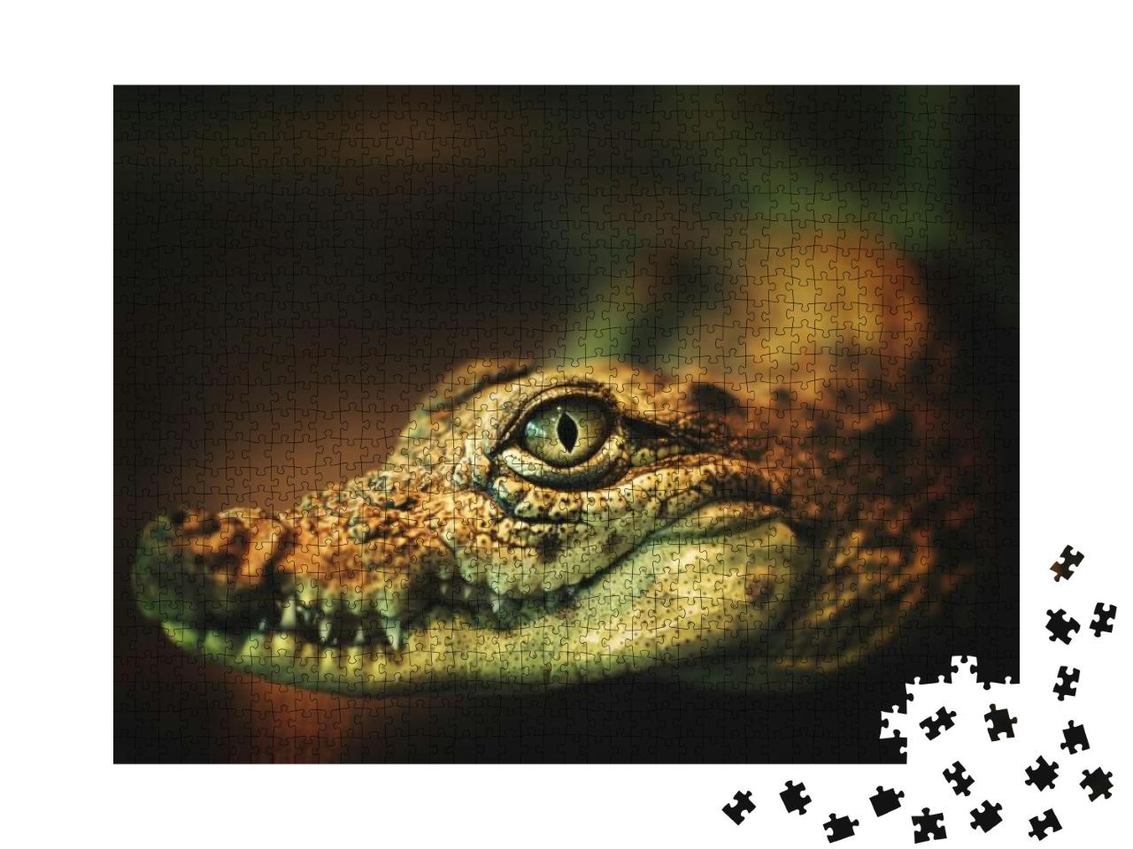 Crocodile Smiles. the Crocodiles Eyes Looking Directly At... Jigsaw Puzzle with 1000 pieces