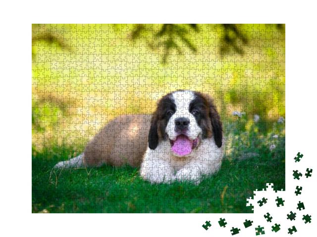 Puppy... Jigsaw Puzzle with 1000 pieces