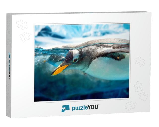 Penguin Swimming in Blue Water... Jigsaw Puzzle