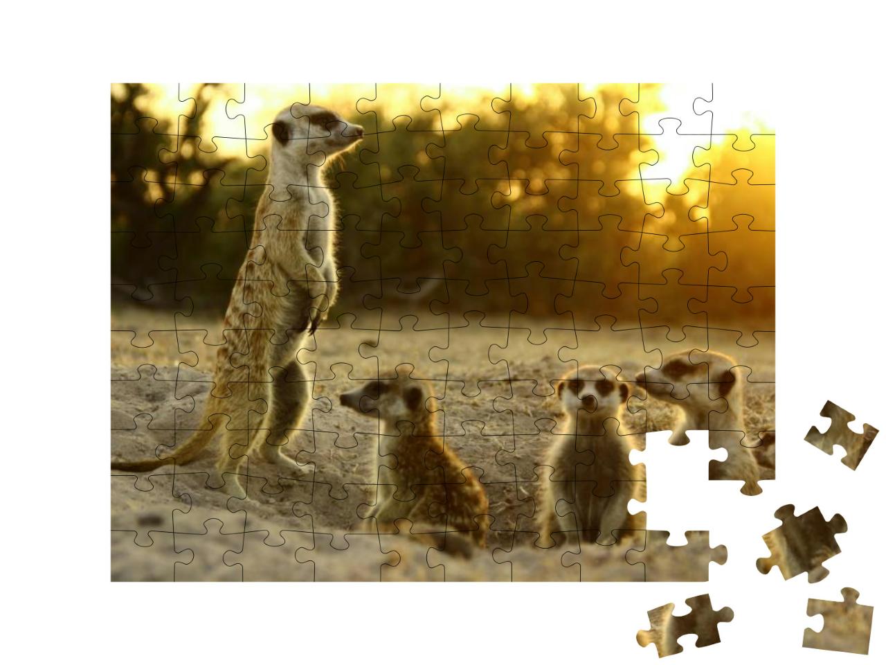 Meerkat the Most Funny Animal. Namibia Wild Life... Jigsaw Puzzle with 100 pieces