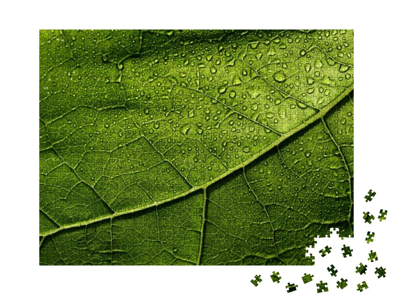 Wet Leaf Bright Green... Jigsaw Puzzle with 1000 pieces