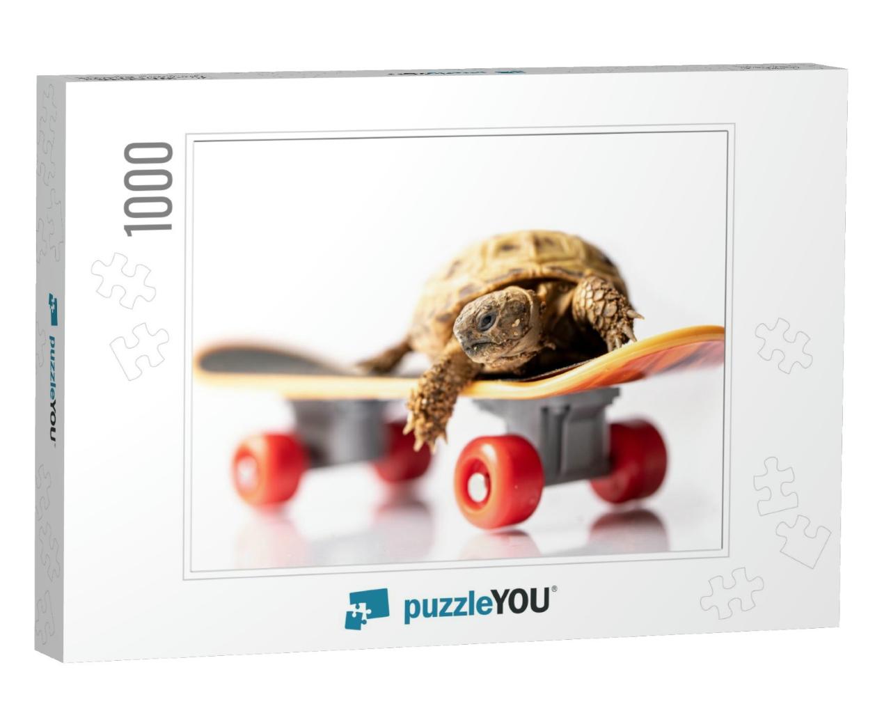 Baby Tortoise Turtle on a Skateboard on a White Backgroun... Jigsaw Puzzle with 1000 pieces