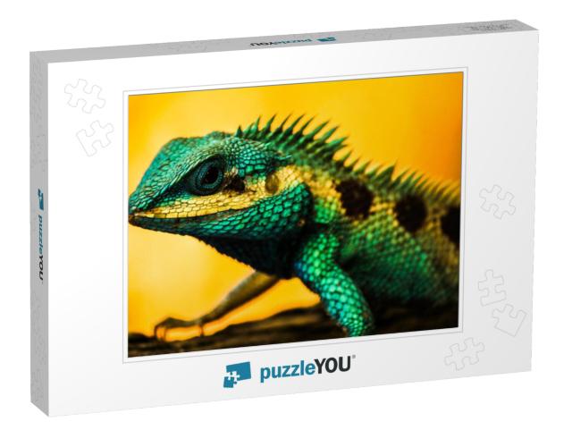 Lizard Water Dragon... Jigsaw Puzzle