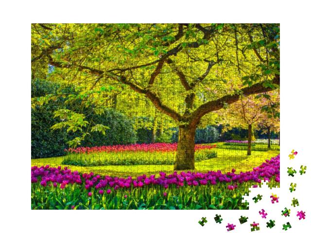 Tree & Red Tulip Flowers in Spring Garden. Keukenhof, Net... Jigsaw Puzzle with 1000 pieces