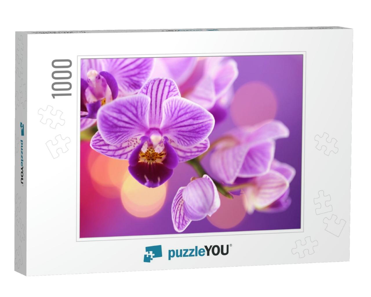 Orchid Flower. Purple Orchid Macro on a Purple Background... Jigsaw Puzzle with 1000 pieces