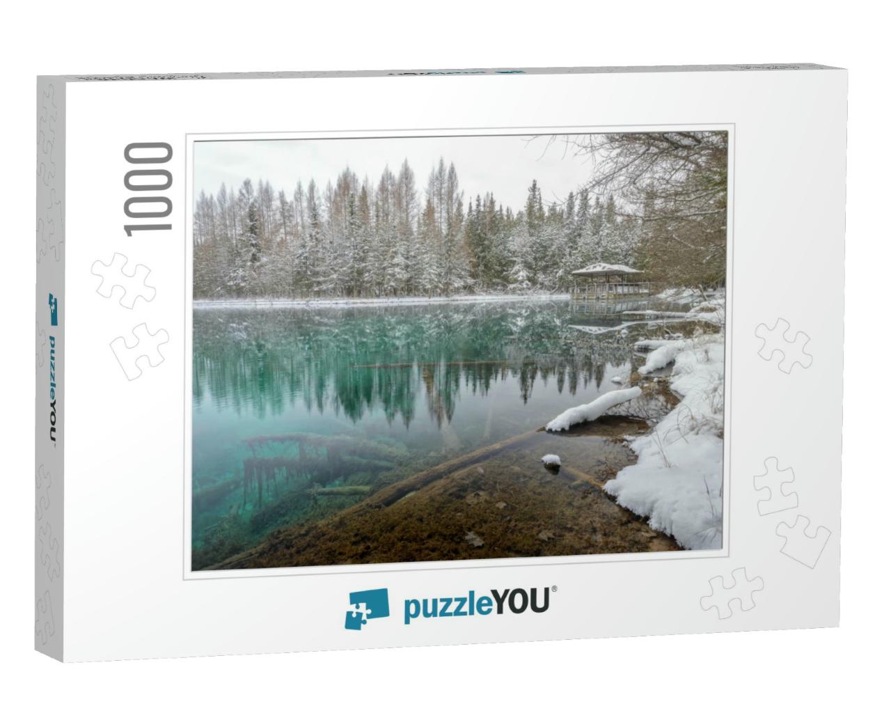 Kitch-Iti-Kipi, Big Spring. Fresh Snow in the Forest Alon... Jigsaw Puzzle with 1000 pieces