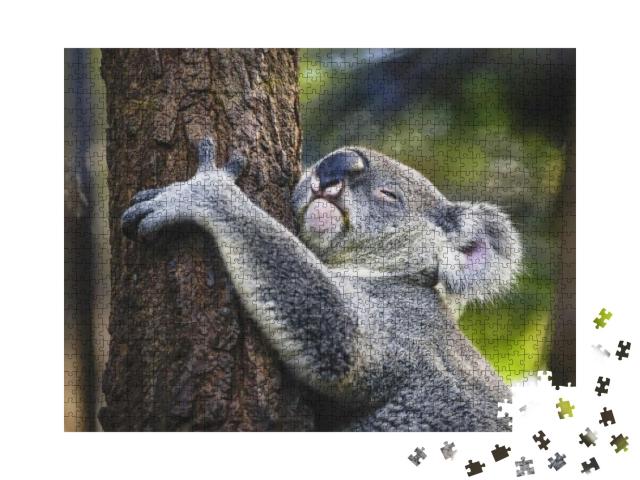 Koala on the Tree... Jigsaw Puzzle with 1000 pieces