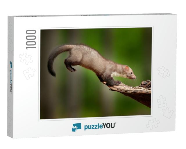 Jump in the Nature. Jumping Beech Marten, Small Opportuni... Jigsaw Puzzle with 1000 pieces