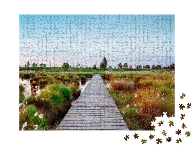 Hiking Ah Hohes Venn At Hautes Fagnes Through Bug on Path... Jigsaw Puzzle with 1000 pieces