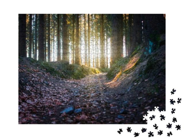 Sun Rays Shining Into the Forest - Rennsteig... Jigsaw Puzzle with 1000 pieces