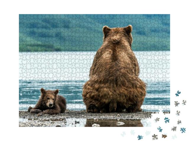 Mother Bear with Cub on the Beach... Jigsaw Puzzle with 1000 pieces