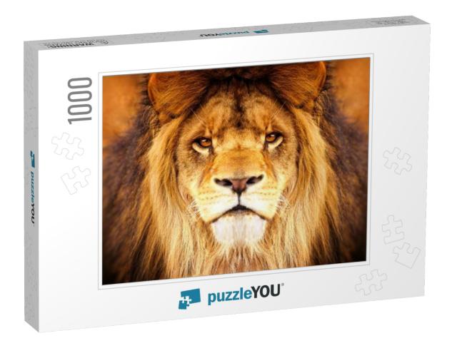 African Male Lion Headshot Looking Into Camera... Jigsaw Puzzle with 1000 pieces