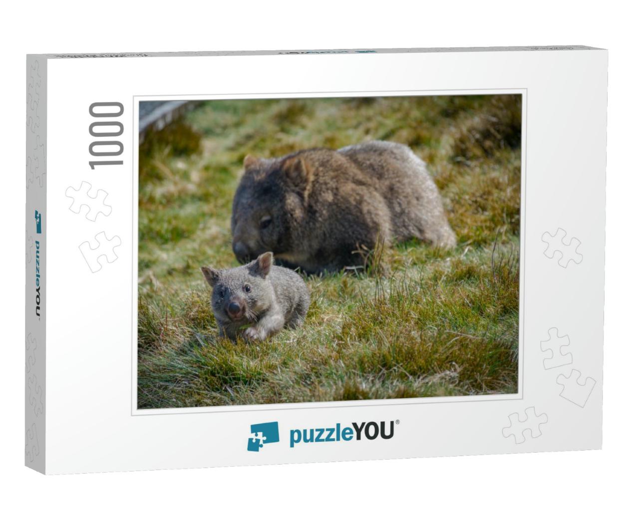 Joey Wombat Running from Its Mother in Cradle Mountain, T... Jigsaw Puzzle with 1000 pieces